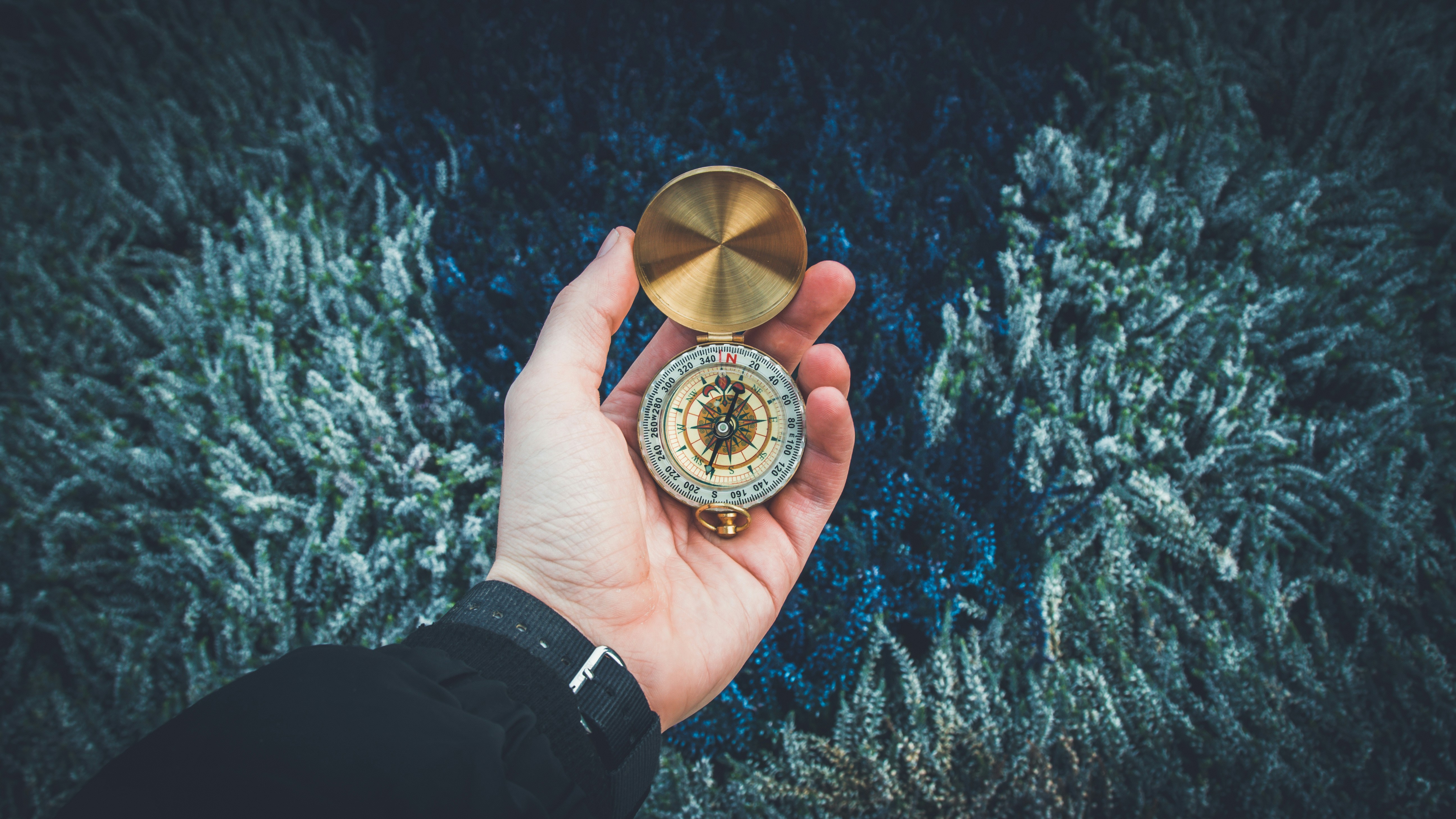 Ethical marketing and AI: Navigating challenges in highly regulated industries